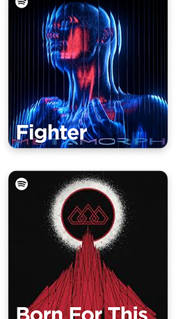 Fighter